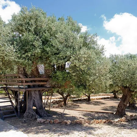 The Olive Retreat Pool Treehouse Sleeps 10