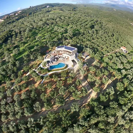 The Olive Retreat Pool Treehouse Sleeps 10 Willa