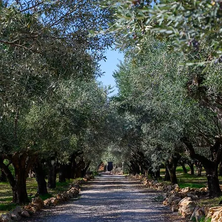 Villa Captivating 5br Pool Close Navarino Golf