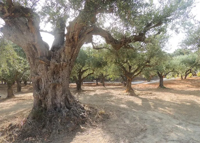 Captivating 5br Pool Close Navarino Golf *