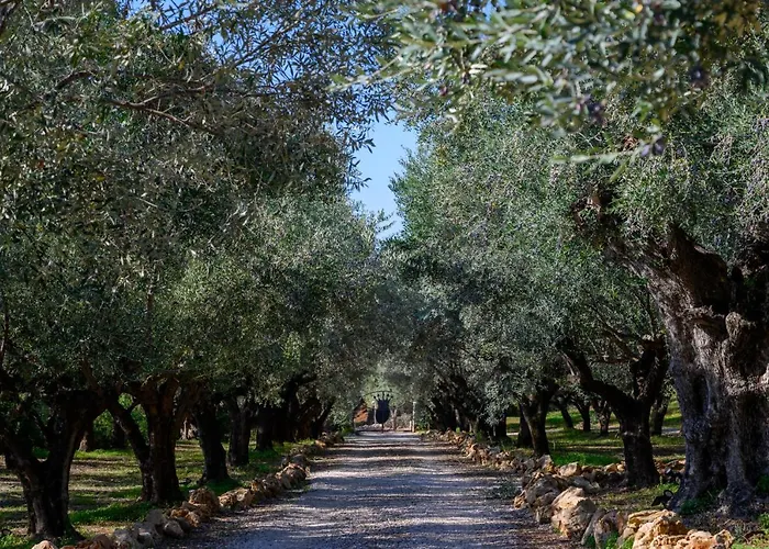 빌라 Captivating 5br Pool Close Navarino Golf